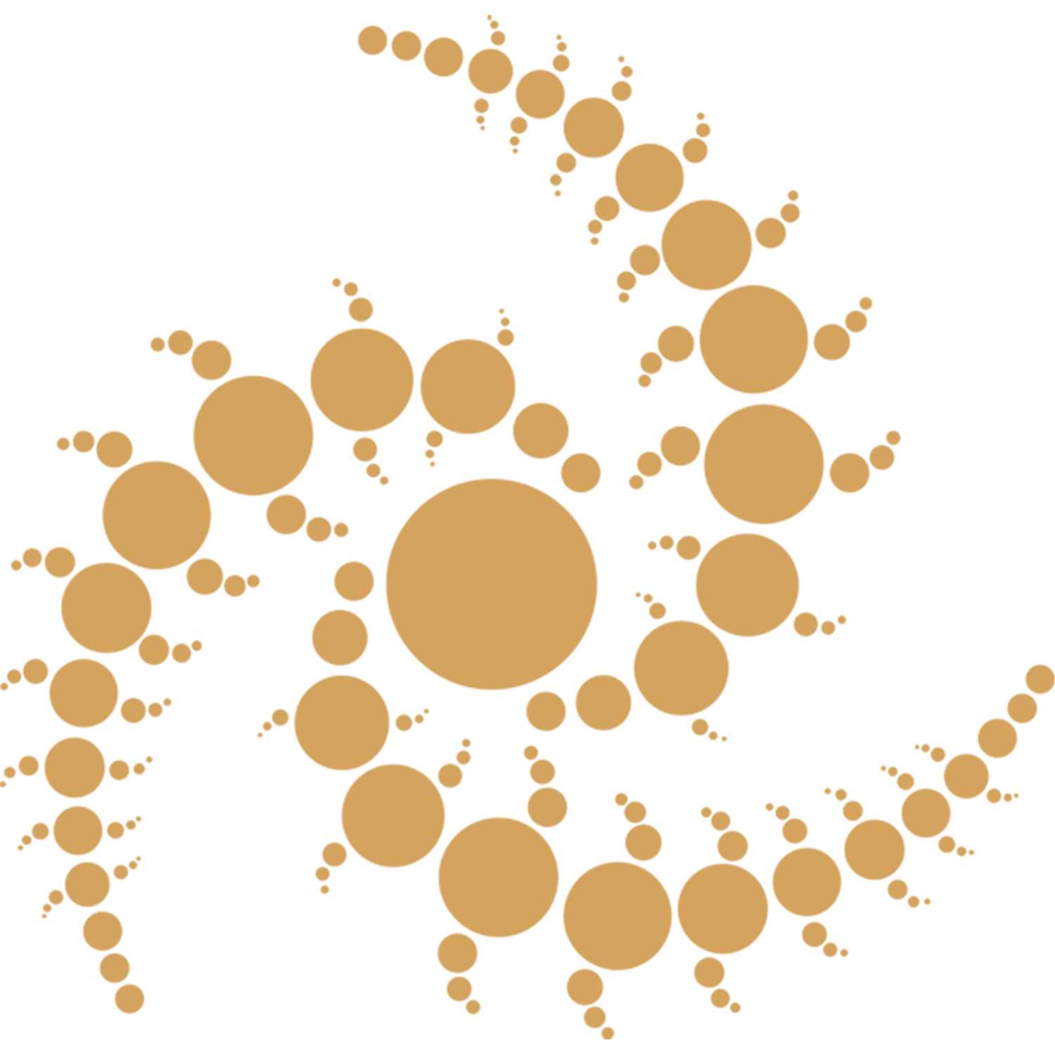 Instituto Torus